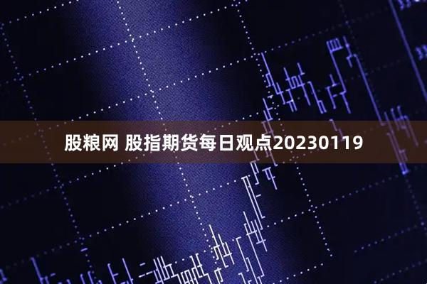 股粮网 股指期货每日观点20230119