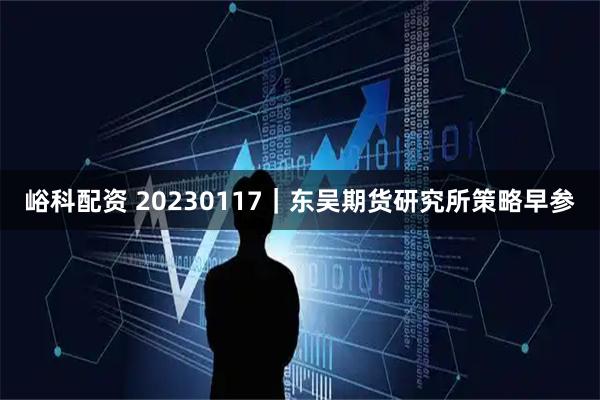 峪科配资 20230117｜东吴期货研究所策略早参