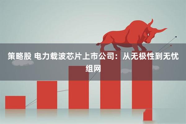 策略股 电力载波芯片上市公司：从无极性到无忧组网